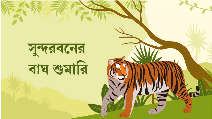 সুন্দরবনের বাঘ শুমারি