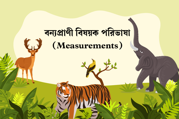 বন্যপ্রাণী বিষয়ক পরিভাষা: Measurements