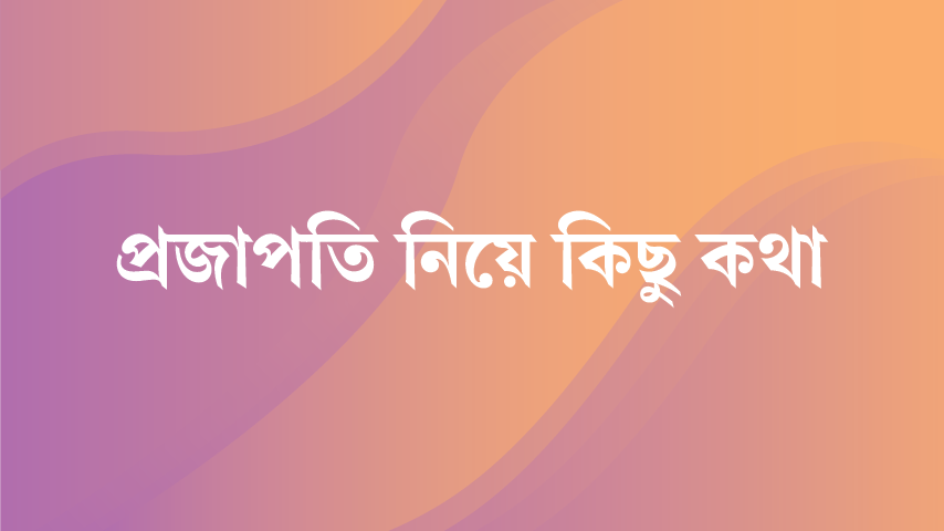 প্রজাপতি নিয়ে কিছু কথা