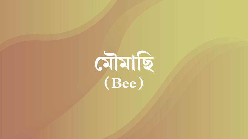 মৌমাছি